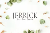 Product image of Jerrick Serif Font Family