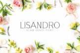 Product image of Lisandro Slab Serif Font