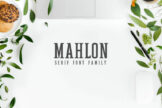 Product image of Mahlon Serif Font Family Pack