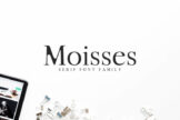 Product image of Moisses Font Family Pack