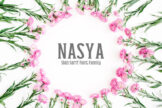Product image of Nasya Slab Serif Font Family Pack