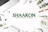 Product image of Shaaron Serif Font Family