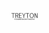 Product image of Treyton Sans Serif Font Family