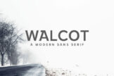 Product image of Walcot Modern Sans Serif Font