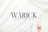 Product image of Warick Serif Font Family