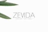 Product image of Zevida Sans Serif Font Family