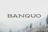 Product image of Banquo Serif Font Family