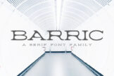 Product image of Barric Serif Font Family
