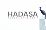 Product image of Hadasa Sans Serif Font Family