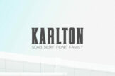 Product image of Karlton Slab Serif Font Family