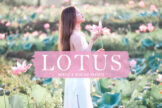 Product image of Lotus Mobile & Desktop Lightroom Presets
