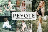 Product image of Peyote Mobile & Desktop Lightroom Presets