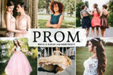 Product image of Prom Mobile & Desktop Lightroom Presets