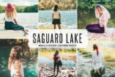 Product image of Saguaro Lake Mobile & Desktop Lightroom Presets