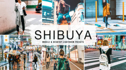 Shibuya Mobile & Desktop Lightroom Presets