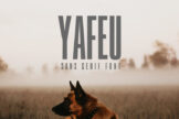 Product image of Yafeu Sans Serif Font Family