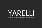 Product image of Yarelli Sans Serif Font Family