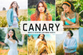 Product image of Canary Mobile & Desktop Lightroom Presets