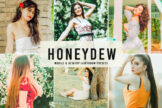 Product image of Honeydew Mobile & Desktop Lightroom Presets