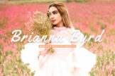 Product image of Brianna Byrd Mobile & Desktop Lightroom Presets
