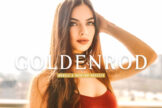 Product image of Goldenrod Mobile & Desktop Lightroom Presets