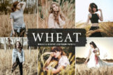 Product image of Wheat Mobile & Desktop Lightroom Presets