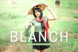 Product image of Blanch Mobile & Desktop Lightroom Presets