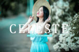 Product image of Celeste Mobile & Desktop Lightroom Presets
