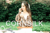 Product image of Cornsilk Mobile & Desktop Lightroom Presets