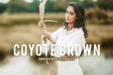 Product image of Coyote Brown Mobile & Desktop Lightroom Presets