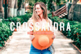 Product image of Crossandra Mobile & Desktop Lightroom Presets
