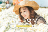 Product image of Daisy Mobile & Desktop Lightroom Presets