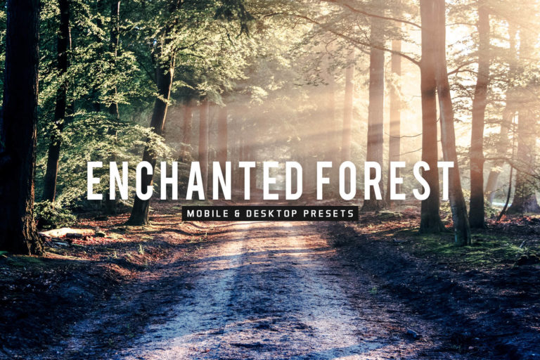 Preview image of Enchanted Forest Mobile & Desktop Lightroom Presets