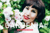 Product image of Gardenia Mobile & Desktop Lightroom Presets