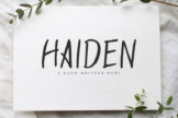 Product image of Haiden Brush Font