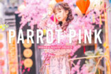 Product image of Parrot Pink Mobile & Desktop Lightroom Presets