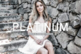 Product image of Platinum Mobile & Desktop Lightroom Presets