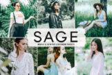 Product image of Sage Mobile & Desktop Lightroom Presets