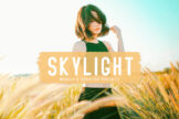 Product image of Skylight Mobile & Desktop Lightroom Presets