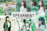 Product image of Spearmint Mobile & Desktop Lightroom Presets