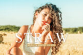 Product image of Straw Mobile & Desktop Lightroom Presets