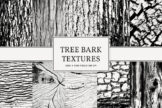 Last preview image of Tree Bark Textures