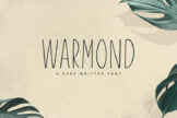 Product image of Warmond Sans Serif Font
