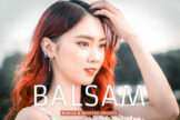 Product image of Balsam Mobile & Desktop Lightroom Presets