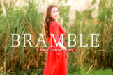 Product image of Bramble Mobile & Desktop Lightroom Presets