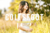 Product image of Coltsfoot Mobile & Desktop Lightroom Presets