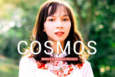 Product image of Cosmos Mobile & Desktop Lightroom Presets