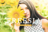Product image of Freesia Mobile & Desktop Lightroom Presets