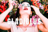 Product image of Gladiolus Mobile & Desktop Lightroom Presets