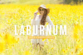 Product image of Laburnum Mobile & Desktop Lightroom Presets